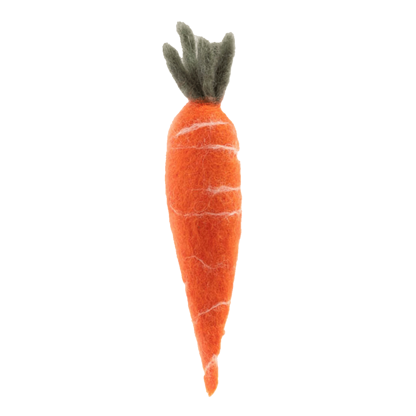 FRUIT AND VEGETABLE GARDEN | Carrot-Web-front