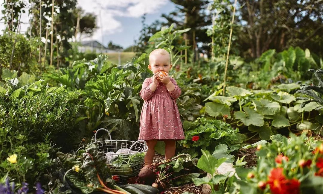 Future Foody: Organic Baby Food | Wellbeing