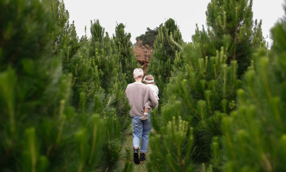 A Christmas Tale From New Zealand: Gem Adams | Parenthood