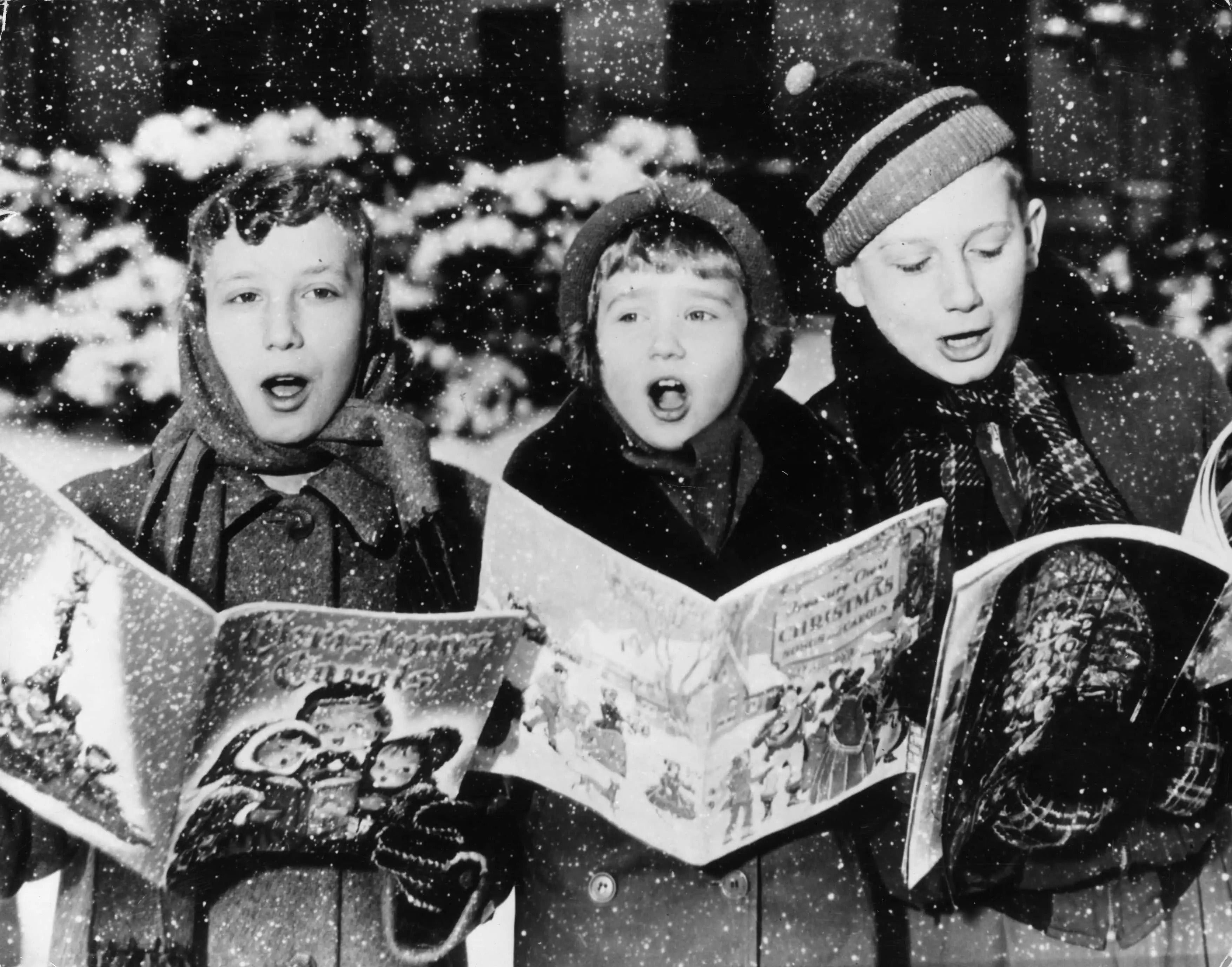 Alternative Christmas Carols | Living - Nature Baby