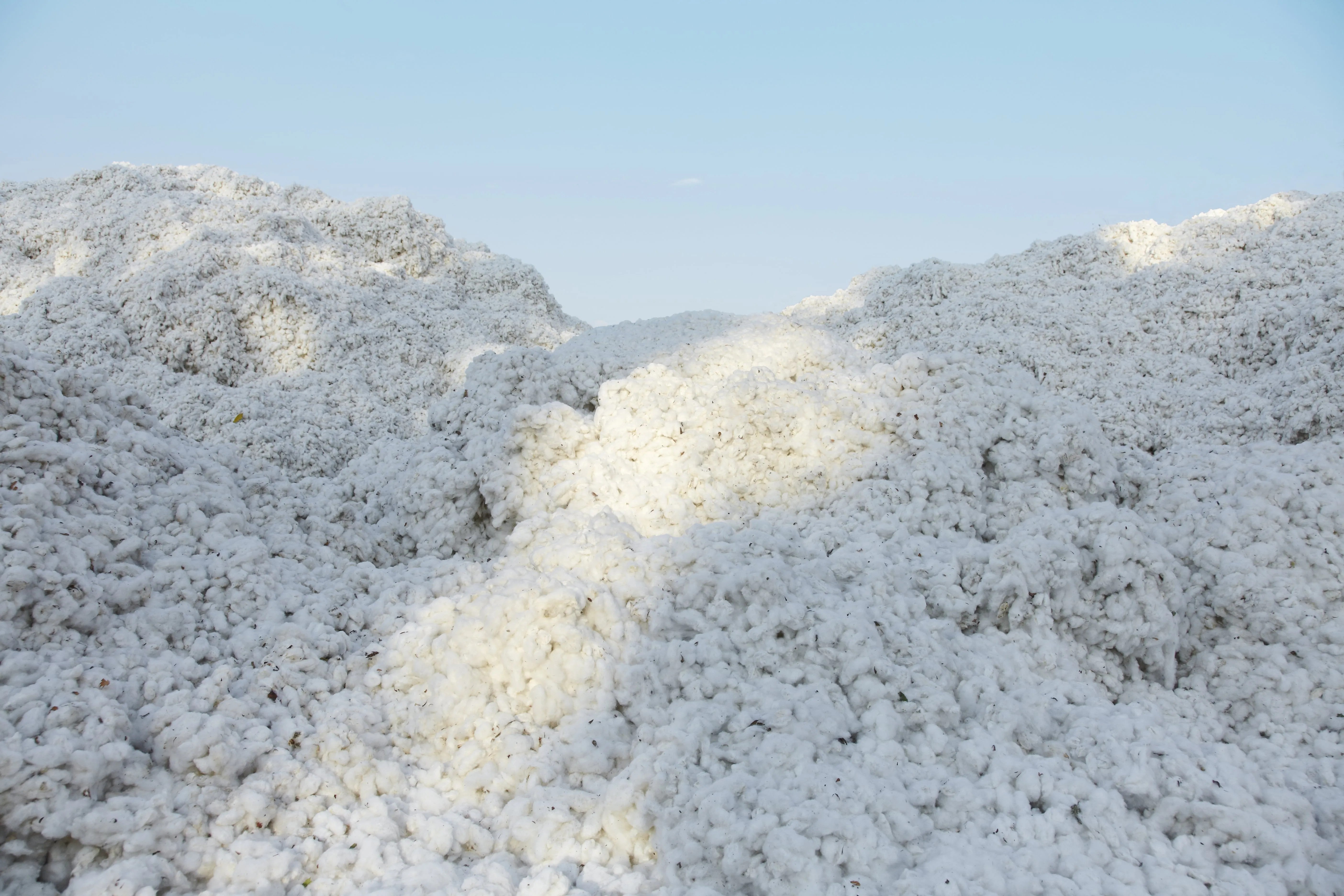 Best For Baby: GOTS Certification | Who We Are