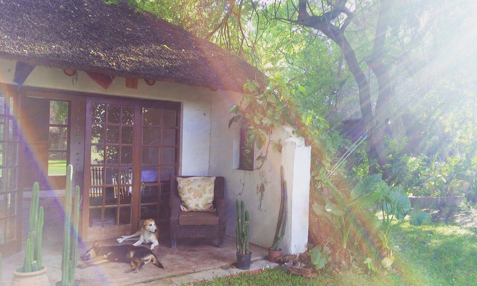 Mums Around The World – Chloe Sells | Parenthood - Nature Baby