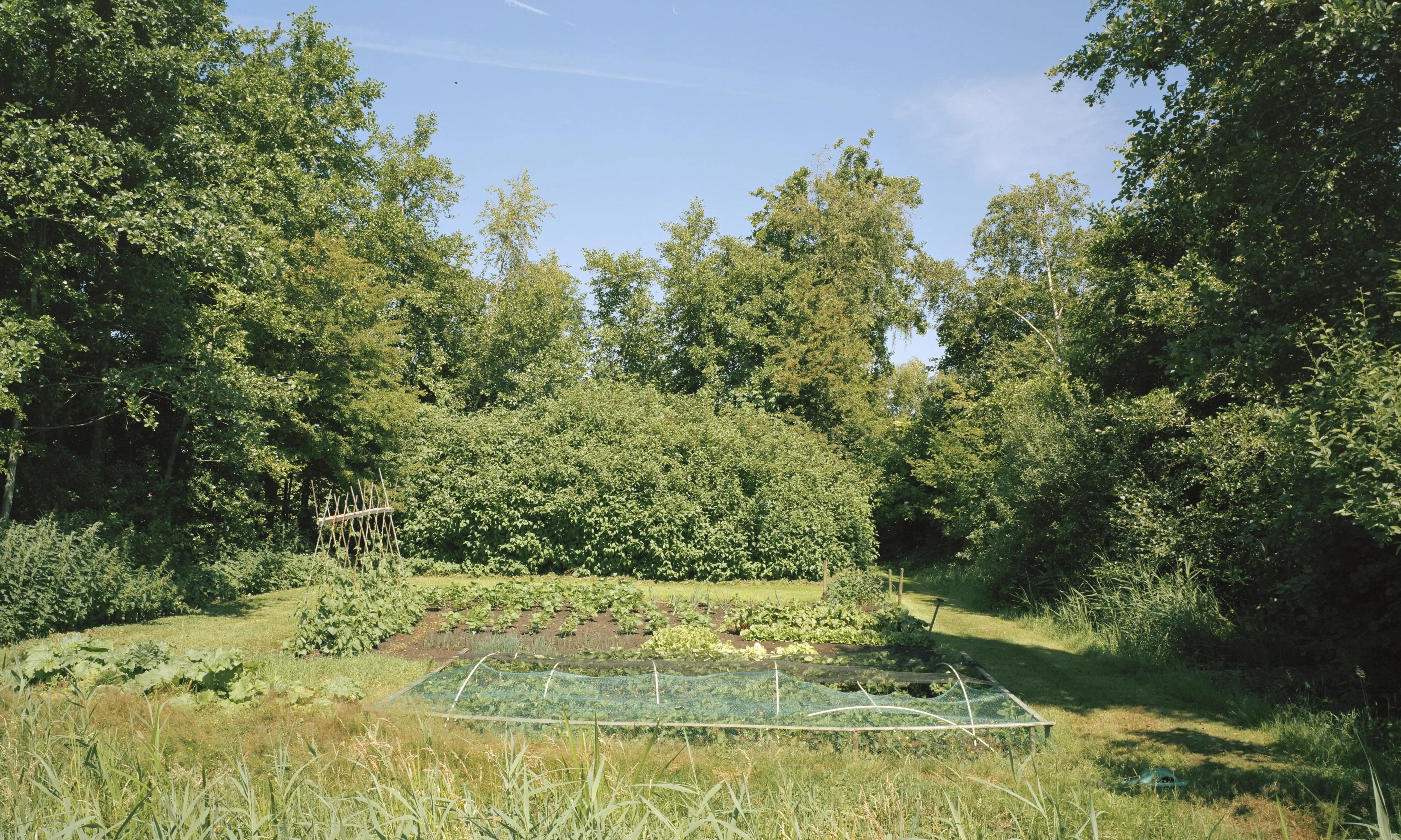 Garden Scavenger Hunt | Living