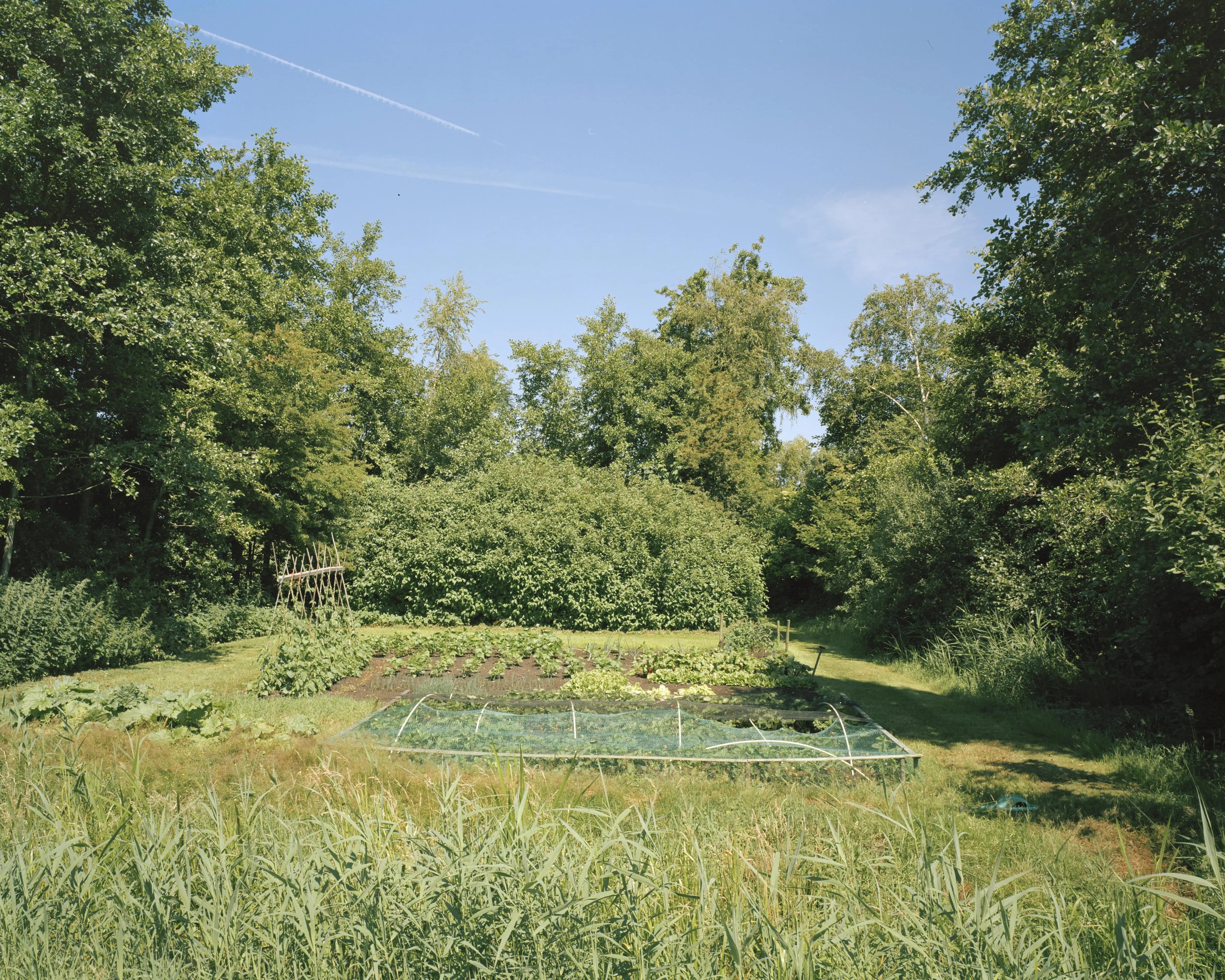 Garden Scavenger Hunt | Living