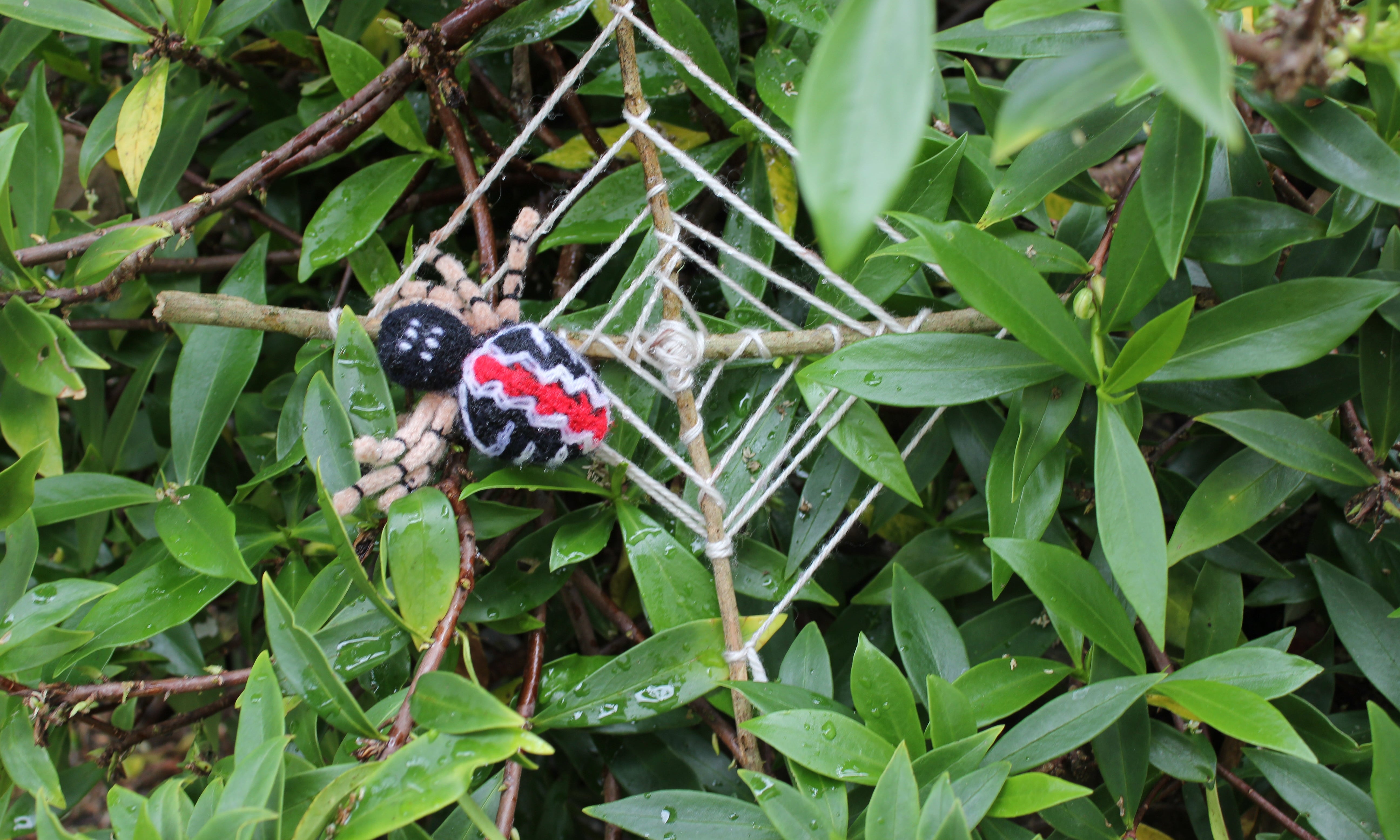 Family Activities: Halloween Ideas | Living - Nature Baby