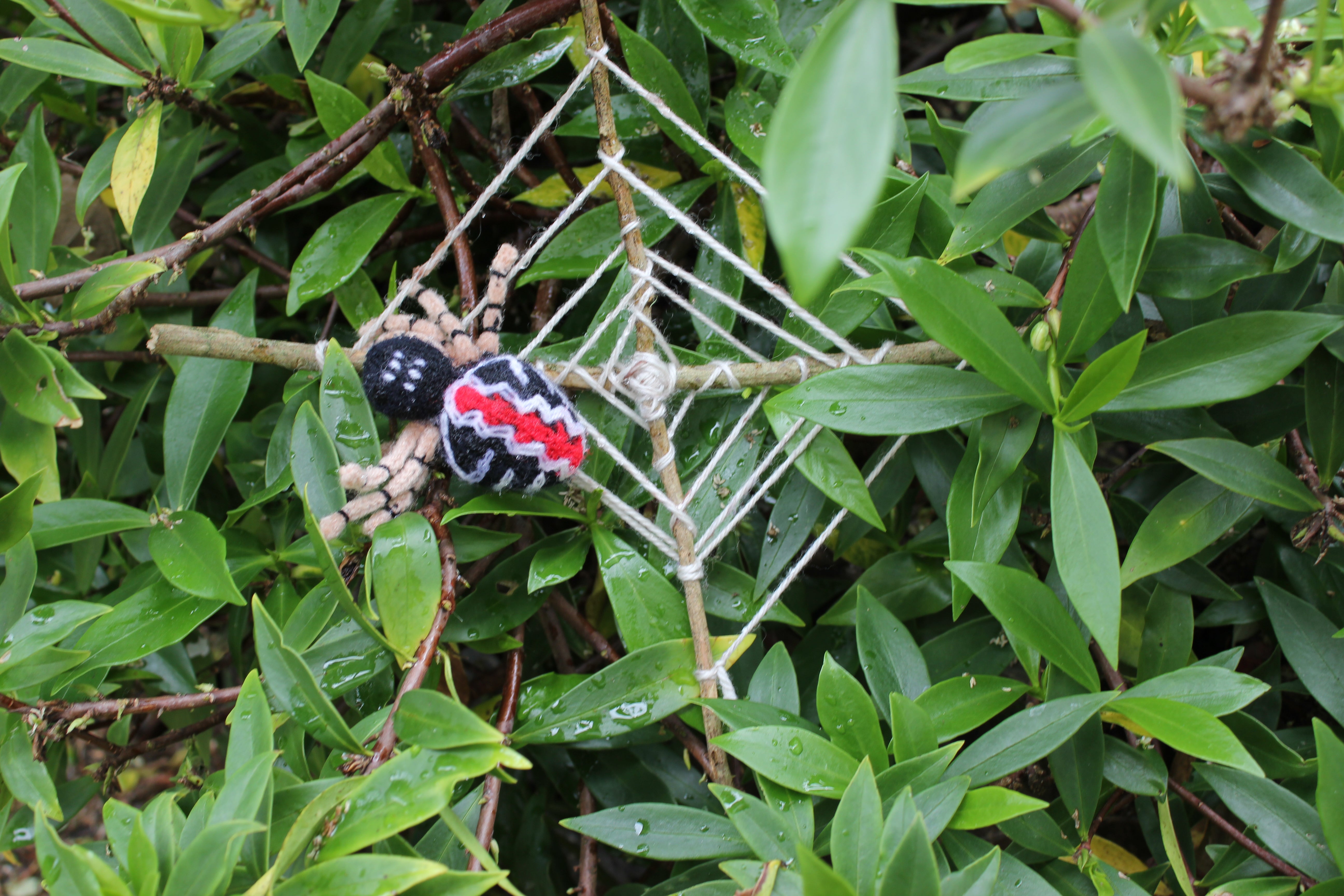 Family Activities: Halloween Ideas | Living - Nature Baby