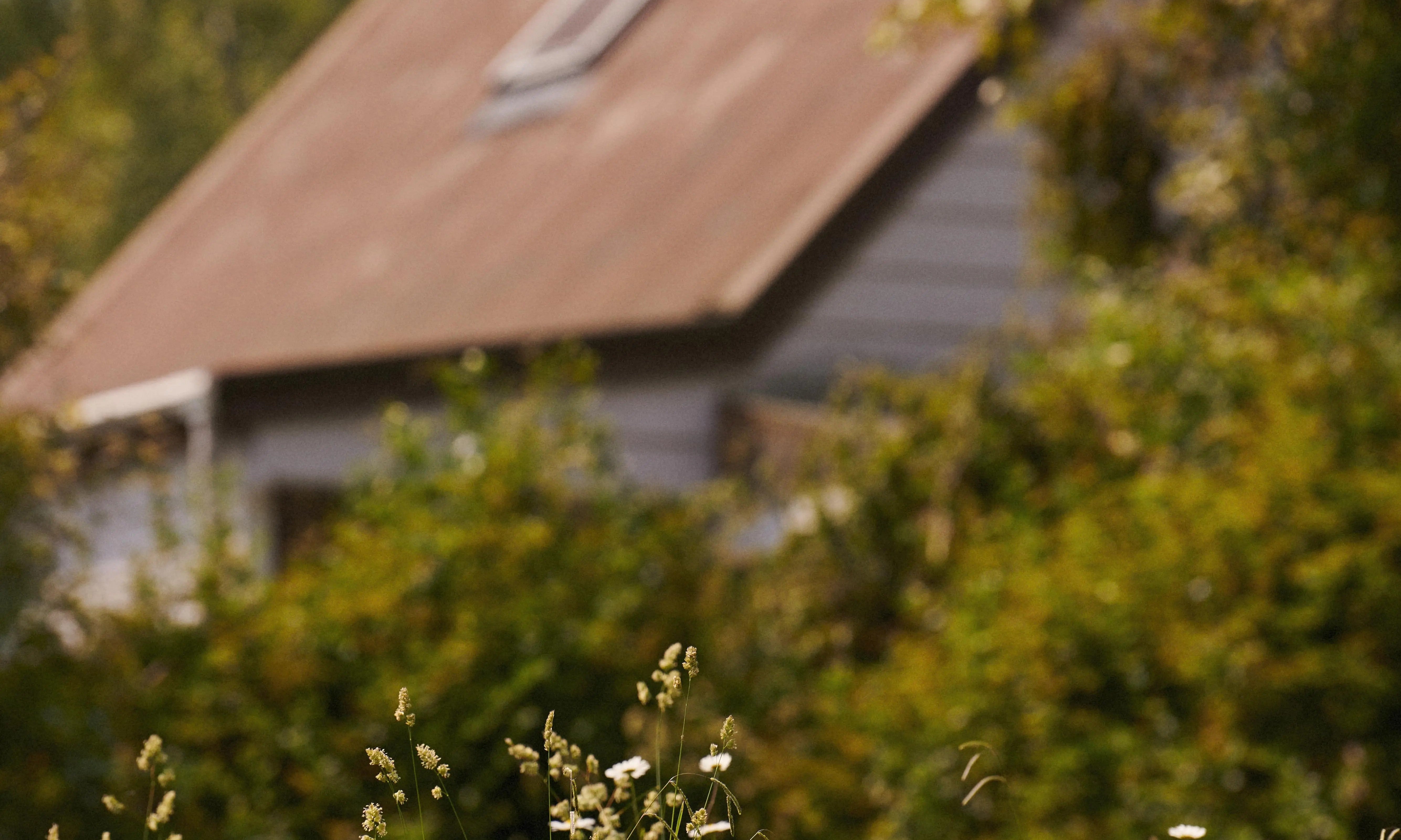 Ideas For Days Indoors | Living