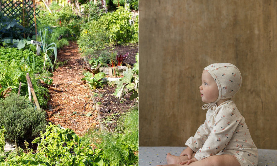 Community Gardens: A Space For Everyone | Living - Nature Baby