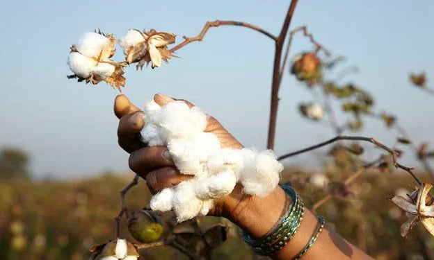 Our Organic Cotton Story | Who We Are - Nature Baby