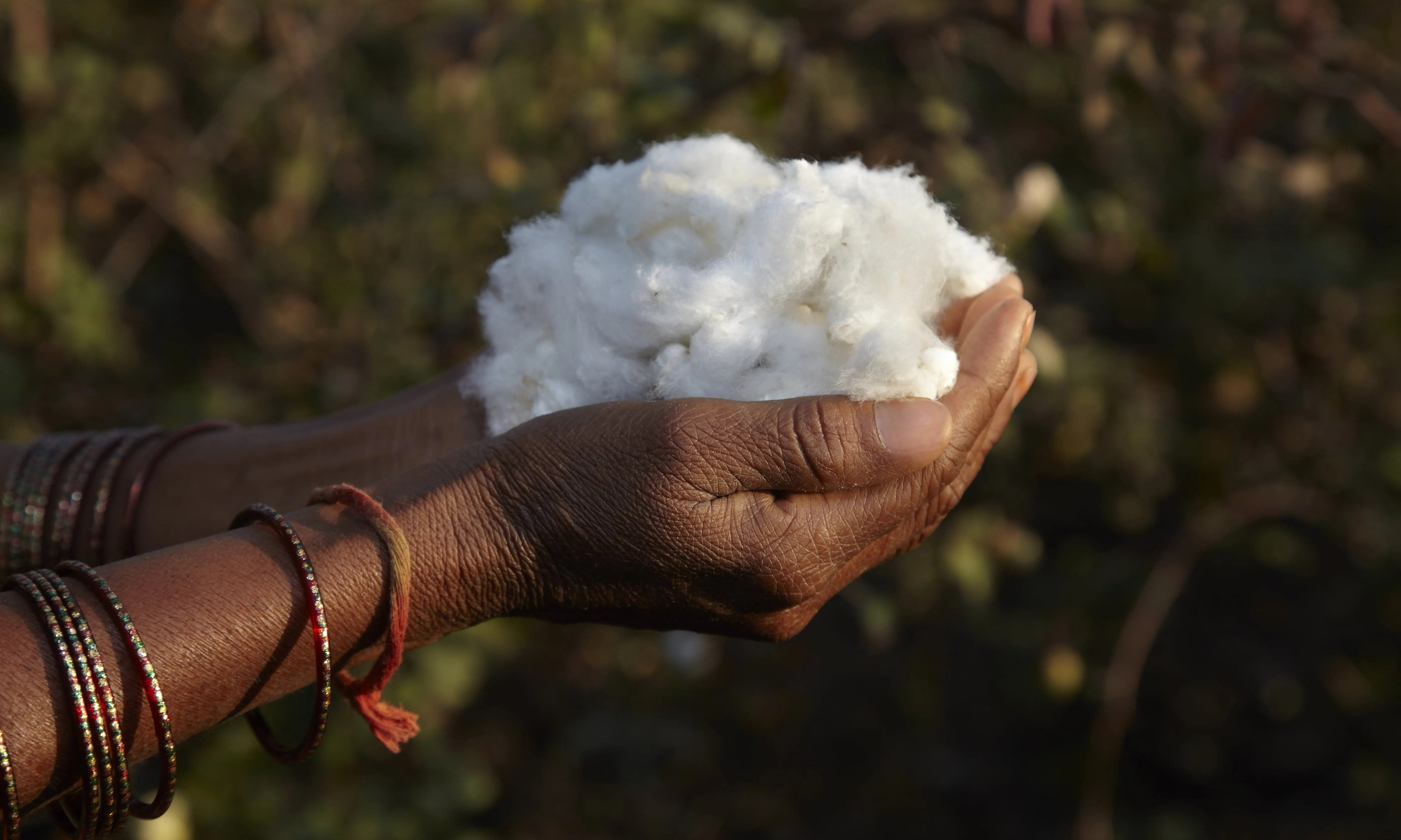 Social Responsibility: GOTS Certification | Who We Are