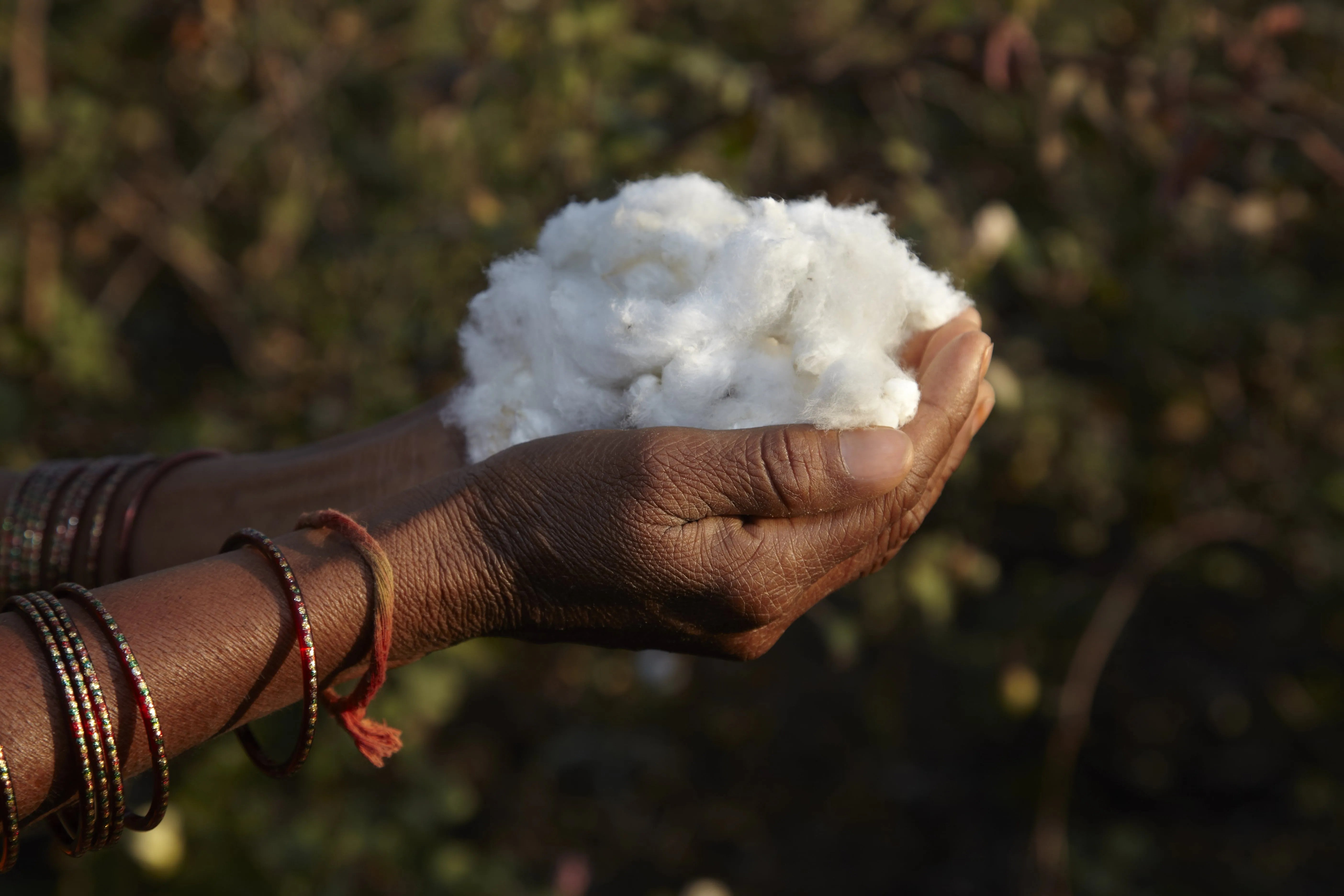 Social Responsibility: GOTS Certification | Who We Are