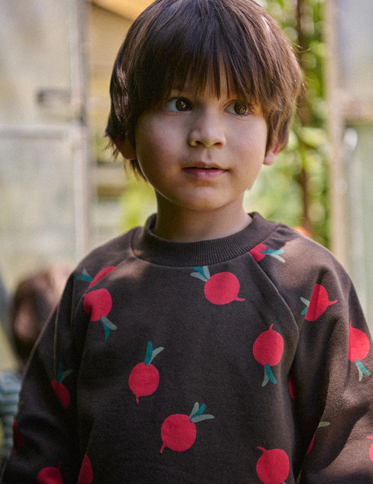 Harvest & Hearth Collection / Shop