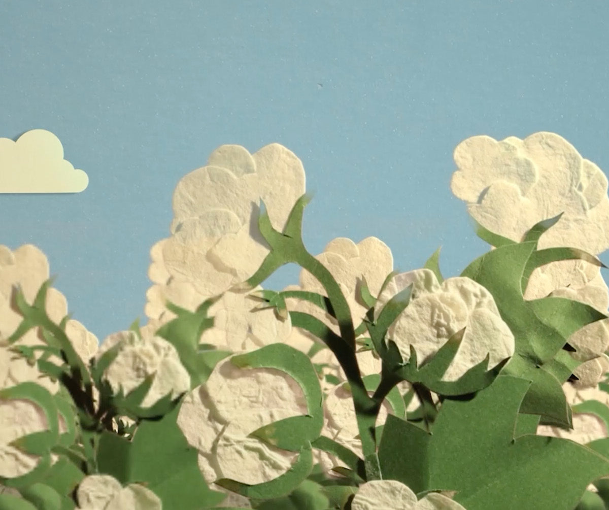AW26_WDICF_LP_vimeo_frame_Mobile - Nature Baby