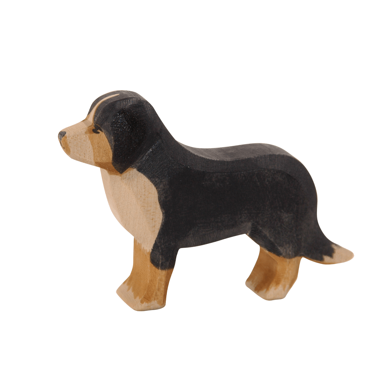 BERNESE MOUNTAIN DOG | None-Web-front