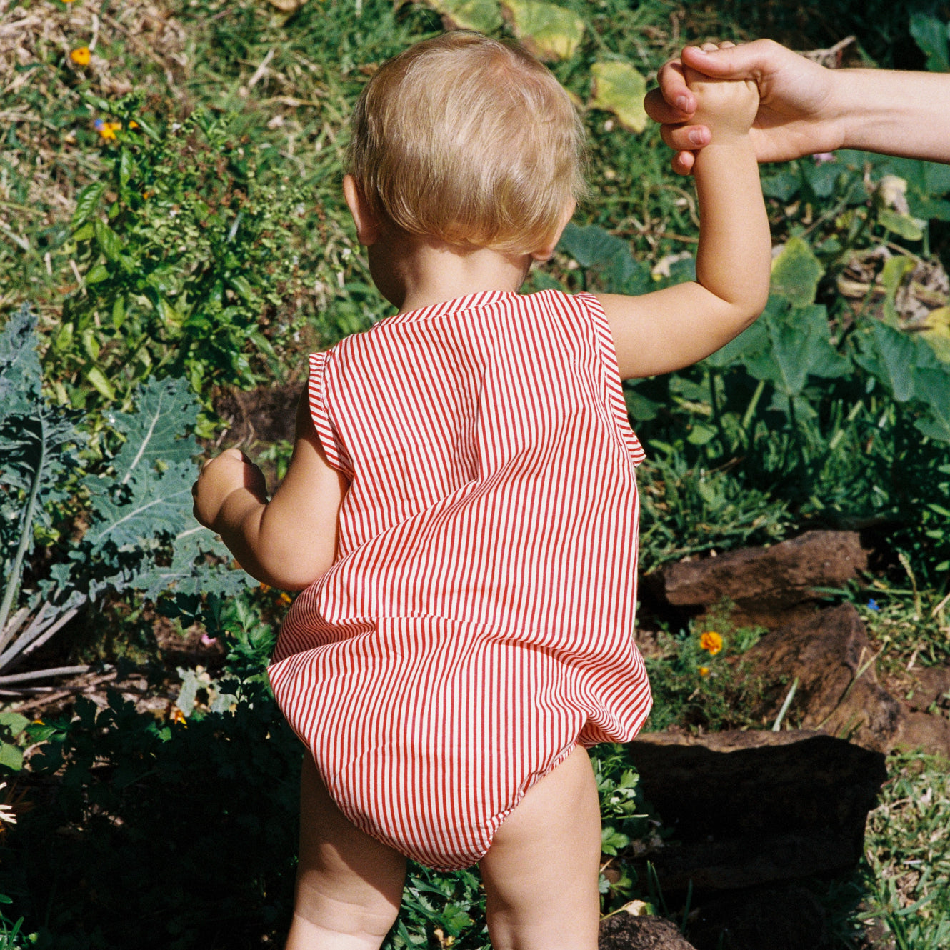 CEDAR SUIT | Meri Stripe-Web-hover