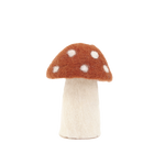 DOTTY MUSHROOMS | Coral-Web-front