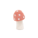 DOTTY MUSHROOMS | Litchee-Web-front