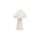 DOTTY MUSHROOMS | Natural-Web-front