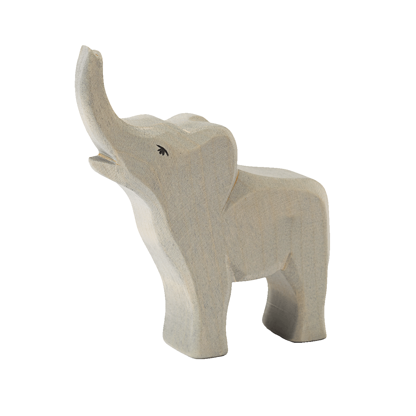 ELEPHANT BABY TRUMPETING | None-Web-front