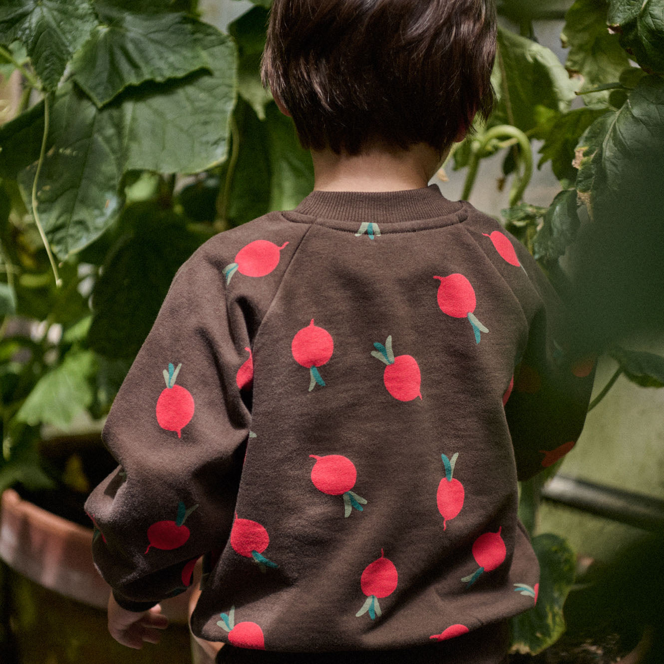 EMERSON SWEATER | Grande Radish Print-Extra Img - 1