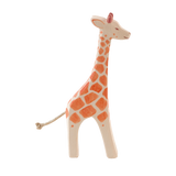 GIRAFFE STANDING, HEAD HIGH | None-Web-front