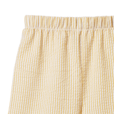 GOLDIE PANT | Golden Stripe-Extra Img - 1