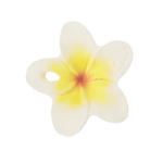 HAWAII THE FLOWER | None-Web-front