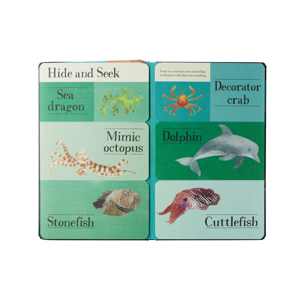 HIDDEN WORLD OCEAN | None-Web-hover