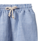 JAMES SHORTS LINEN | Blue Stripe-Extra Img - 1
