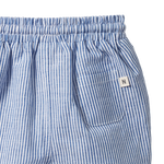 JAMES SHORTS LINEN | Blue Stripe-Extra Img - 2