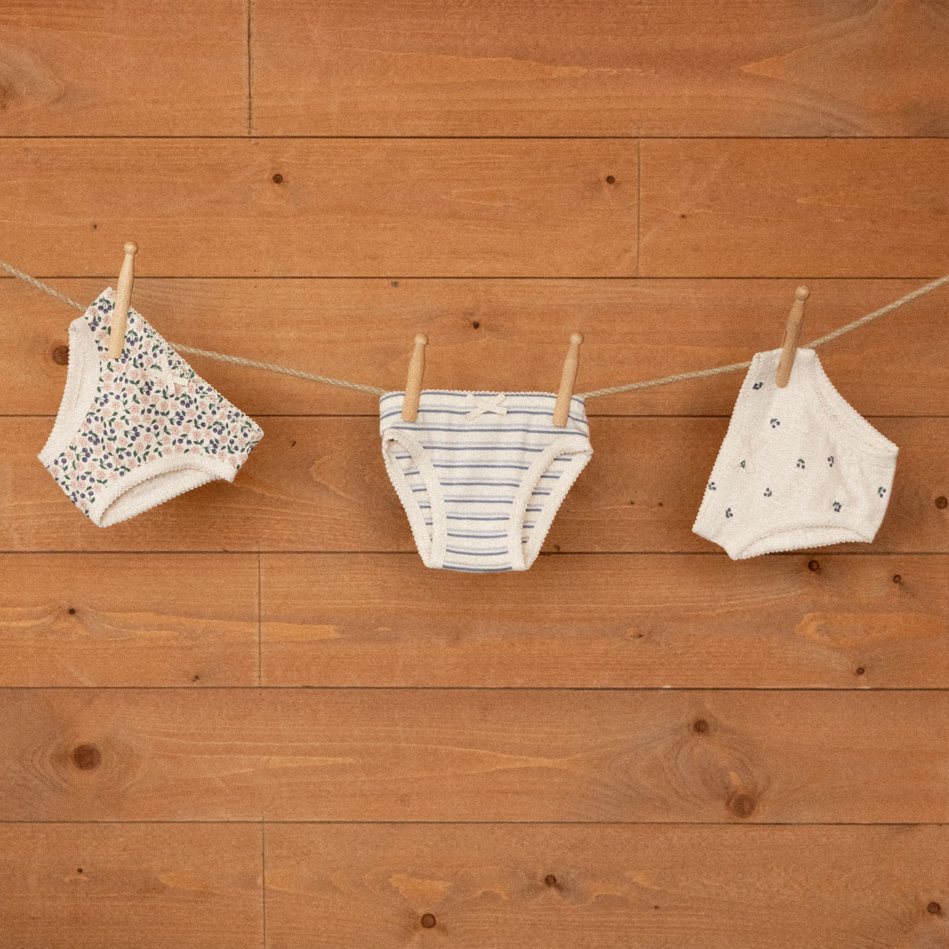 KNICKERS POINTELLE | Winter Berry Print-Web-hover