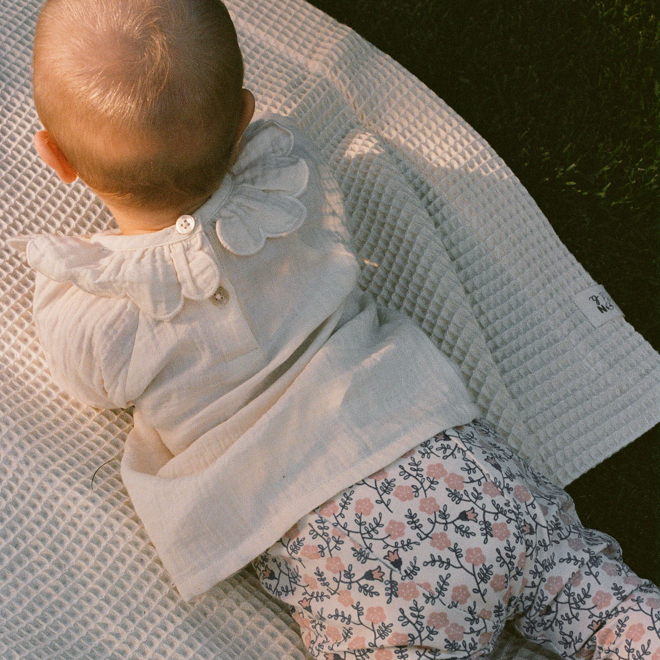 LEGGINGS | Betsy Belle Rose Print-Web-hover