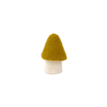 MOREL MUSHROOMS | Pistachio-Web-front