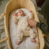 MOSES BASKET | None-Web-hover