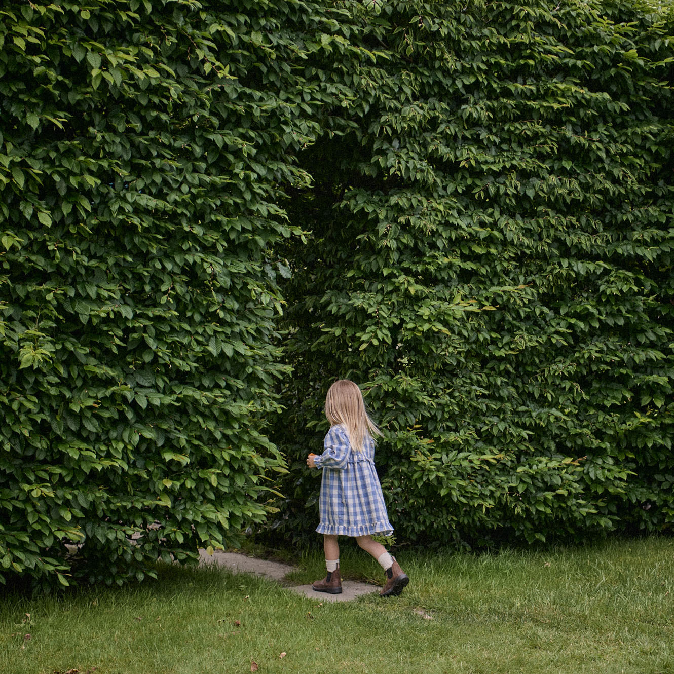 NORA DRESS | Bluebelle Check-Web-hover