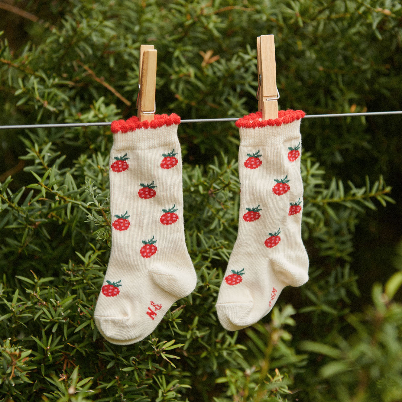 ORGANIC COTTON SOCKS | Raspberries-Web-hover