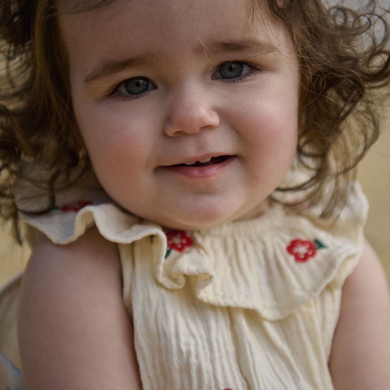 PLUM SUIT MUSLIN | Red Flora-Extra Img - 1