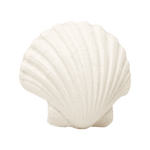 SCALLOP SHELL | None-Web-front