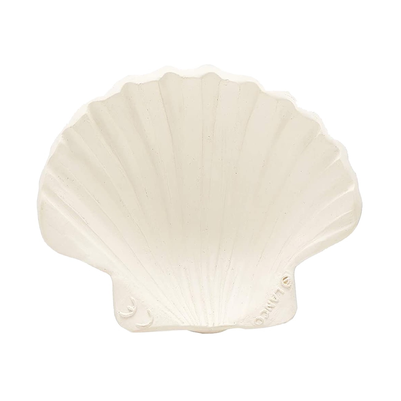 SCALLOP SHELL | None-Web-hover