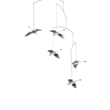 SCANDINAVIAN SWANS | None-Web-front