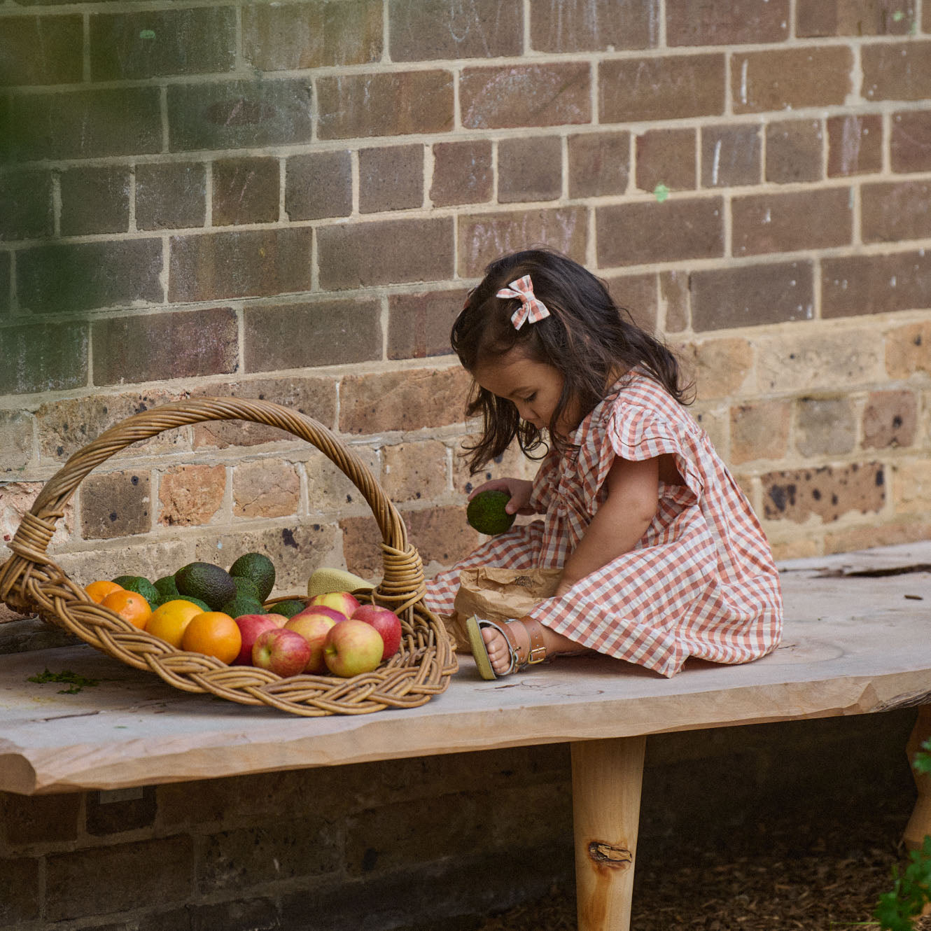 UNA DRESS | Dandelion Gingham-Web-hover